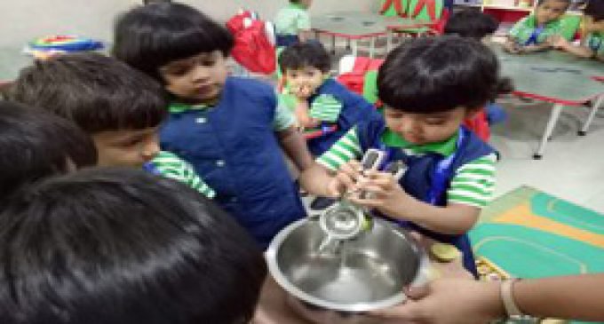 Nursery summer party – AEA School, Vashi